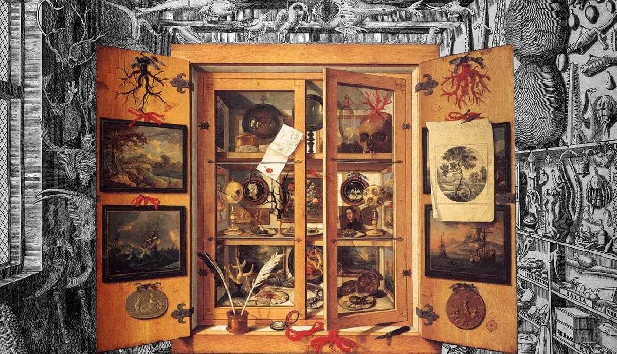 The Pre Modern Museum What Is A Cabinet Of Curiosities
